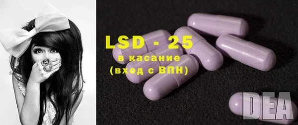 прущие крисы Бородино