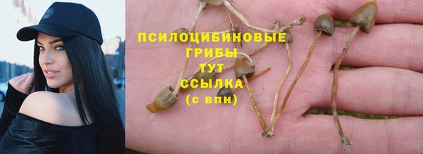 прущие крисы Бугульма
