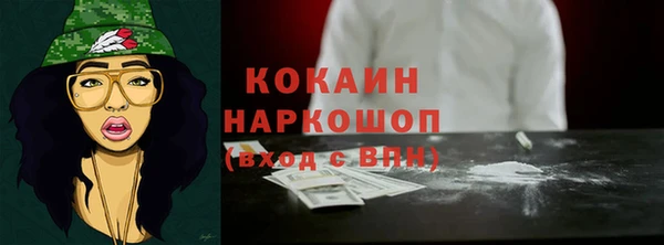 прущие крисы Бородино