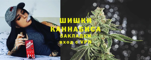 прущие крисы Бородино