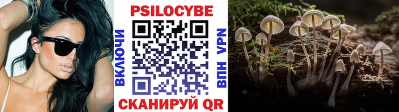 Купить  Полысаево  Галлюциногенные грибы Cubensis 